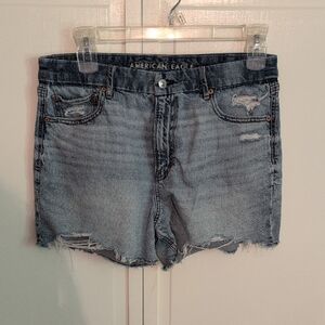 American Eagle Outfitters Curvy Relaxed High Rise Ripped Strigid Shorts Sz 14